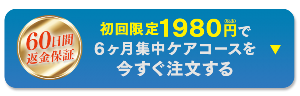 クレチュールセット定期六ヶ月ボタン